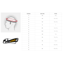 CASQUE BELL RS7 PRO BLANC HANS FIA8859 / SA2020